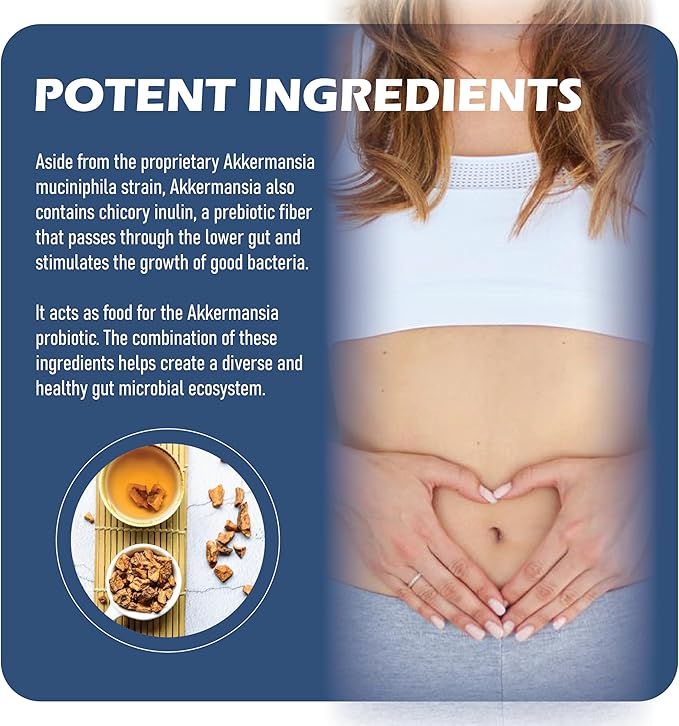 Akkermansia Probiotic with Prebiotic Fiber - Increases GLP-1 Production, Delayed Release, Third-Party Tested, 100M AFU Live Strain for Gut Health for Men & Women (2pcs)