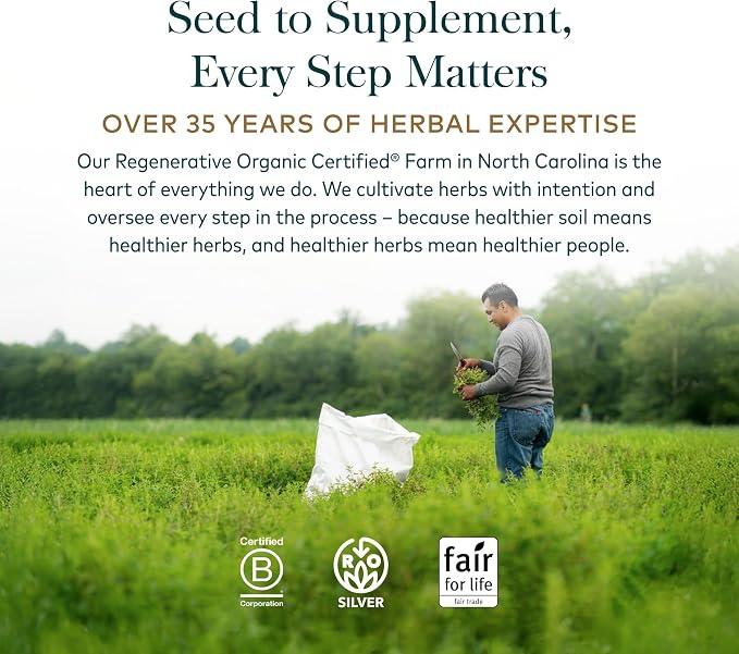 Gaia Herbs Ashwagandha Root 350 mg - Supports Balanced Energy Levels & Positive Outlook*- Supports Healthy Cortisol Balance* - 180 Vegan Liquid Phyto-Caps (90 Servings)