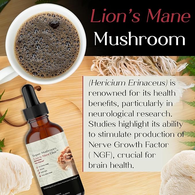 Auri Nutrition Lion’s Mane Liquid Elixir - Brain Supplements for Memory and Focus with Functional Mushrooms - Lions Mane Supplement, Full Spectrum Lion's Mane Extract - No GMO, Vegan Mushroom Tincture