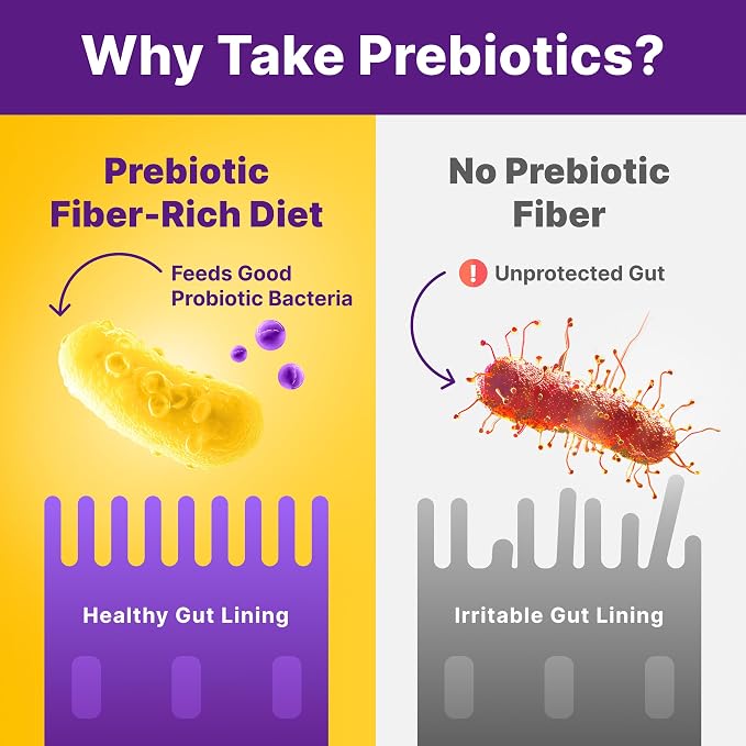 InnovixLabs Prebiotic Fiber Powder for Gut & Digestive Health, High Fiber Supplement for Women and Men with Chicory Root, FOS, Acacia, Inulin, Soluble & Insoluble Fiber, No Added Sugar, 30-Day Supply
