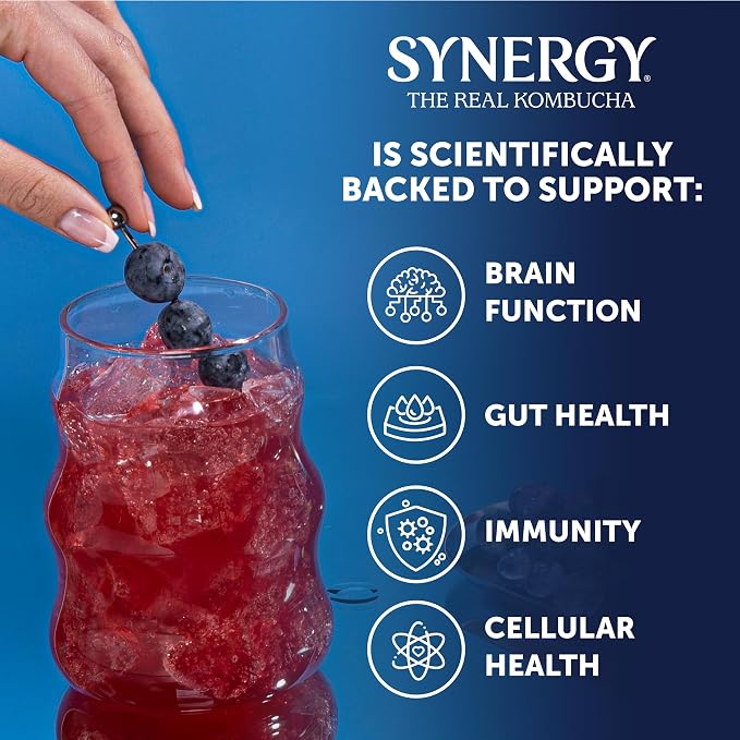 SYNERGY The Real Kombucha - Gingerberry - 16 fl oz Bottle - Raw Probiotic Drink for Gut Health and Immune Support