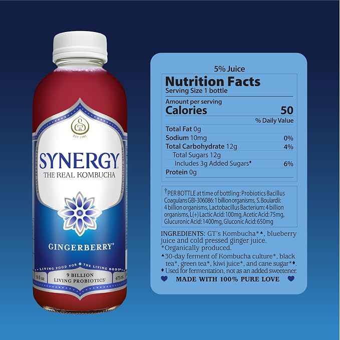 SYNERGY The Real Kombucha - Gingerberry - 16 fl oz Bottle - Raw Probiotic Drink for Gut Health and Immune Support