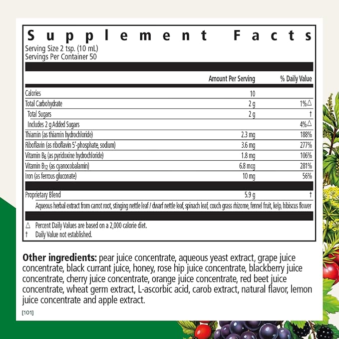 Floradix Iron & Herbs - Liquid Herbal Supplement for Energy Support - Iron Supplement with Vitamin C & Vitamin B Complex - for Men & Women - 16.9 fl oz