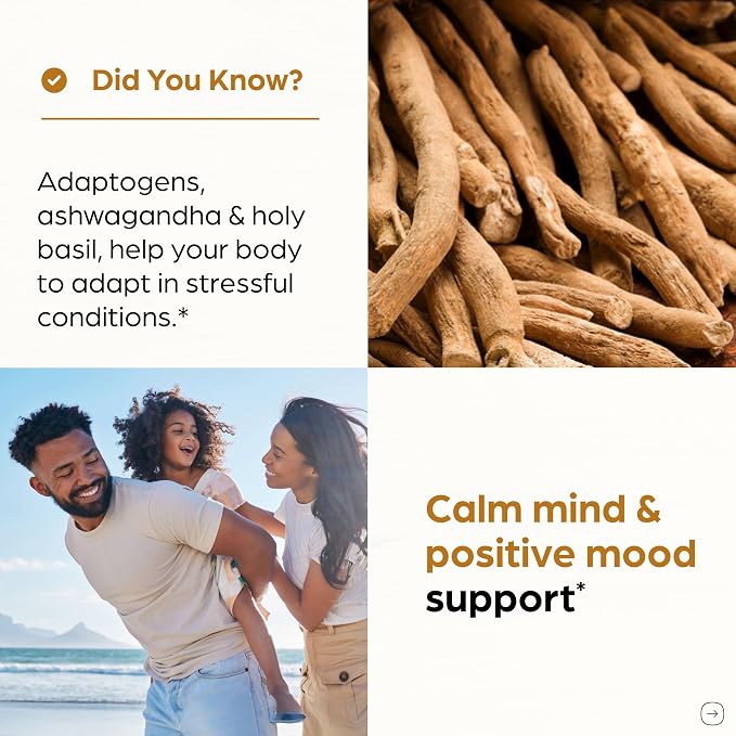 Organic Ashwagandha Capsules 120 Count | 4 in 1 with Zinc, Black Pepper & Holy Basil Extract | Immune Health, Extra Strength Stress, Mood & Energy Support | Non-GMO | For Men & Women | 2 Month Supply
