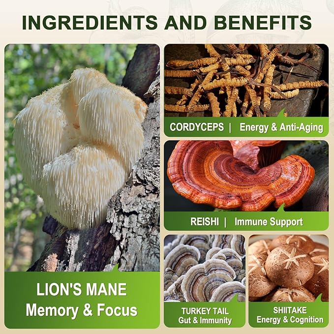 ZEBORA Lions Mane Supplement Capsules - Mushroom Supplement with Lions Mane, Cordyceps, Reishi, Turkey Tail, Shiitake - Lion's Mane Mushroom for Memory, Focus & Immune Support - 120 Vegan Capsules