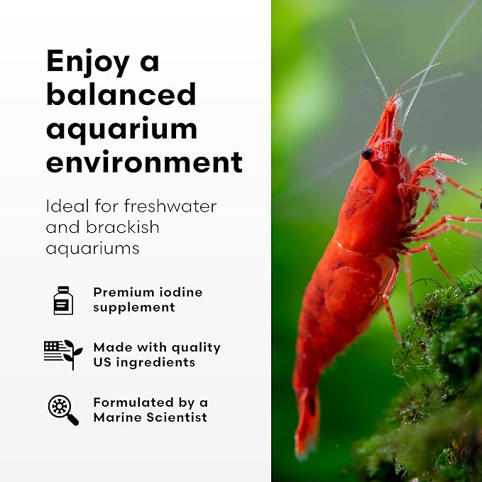 Brightwell Aquatics Florin-I Iodine Supplement for Crustaceans – Supports Molting, Growth & Shell Strength – Safe for Freshwater, Brackish & Planted Tanks, 20L