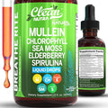 Mullein Drops for Lungs Liquid Chlorophyll Mullein Leaf Extract Supplement Elderberry Sea Moss Spirulina Chlorella Lobelia Marigold Licorice Marshmallow Lung Detox Cleanse Tincture Men Women 2 fl oz
