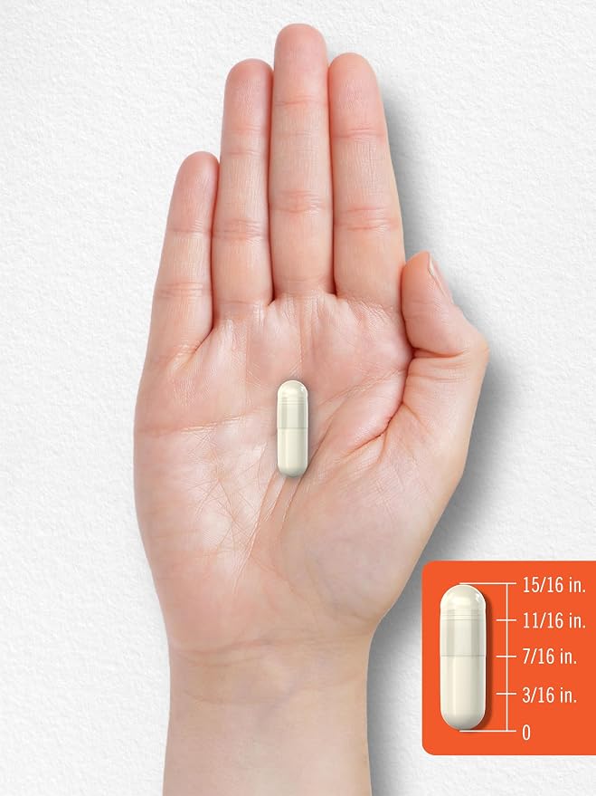 Carlyle Probiotic with Prebiotics & Postbiotics | 25 Billion CFU | 60 Capsules | Supplement for Women & Men | Powder Pills | Vegetarian, Non-GMO & Gluten Free