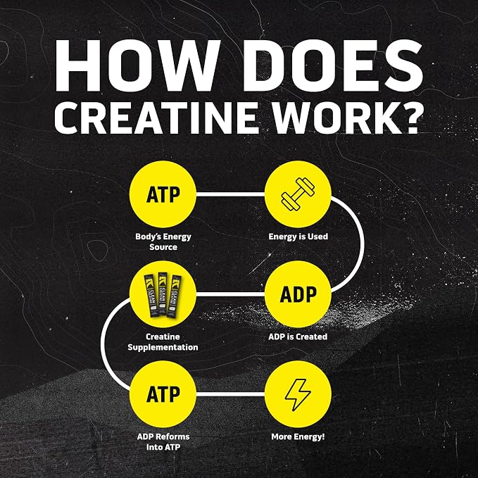 Ascent Clean Creatine Monohydrate Powder - 5G Per Serving, Creapure Creatine Supplement - Unflavored, 15 5G Servings