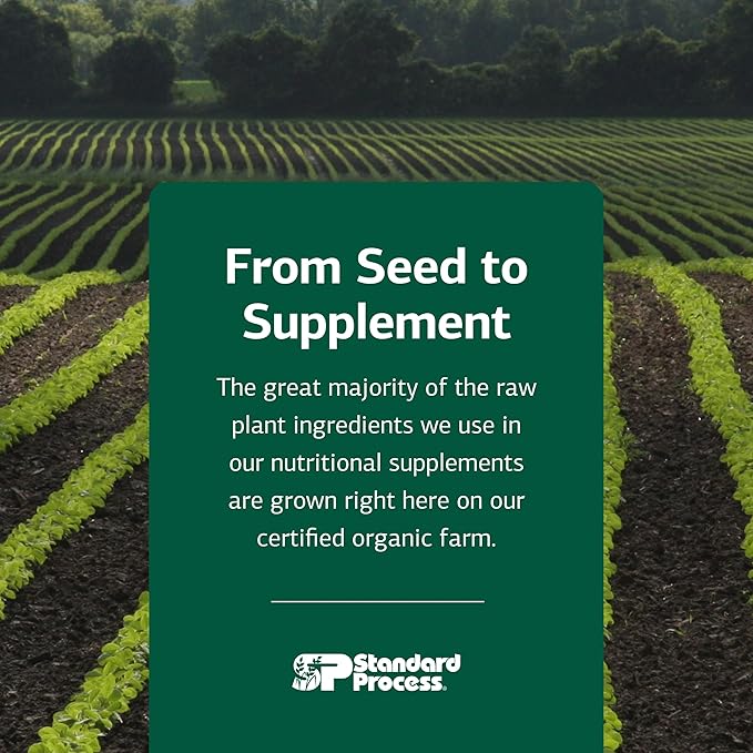 Standard Process Ferrofood - Iron Supplement to Support Normal Blood Production - Aid Iron Absorption with Vitamin C - Health Supplement with Alfalfa, Spanish Moss, Vitamin B12 & More - 40 Capsules