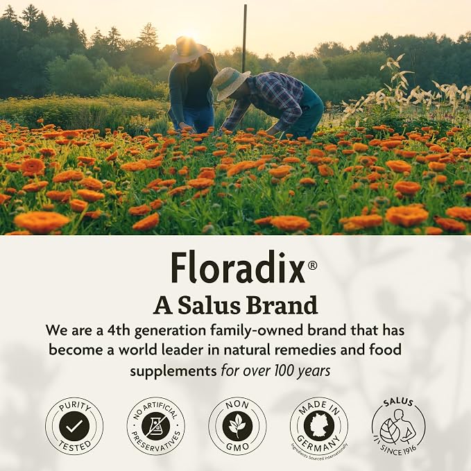 Floradix Iron & Herbs - Liquid Herbal Supplement for Energy Support - Iron Supplement with Vitamin C & Vitamin B Complex - for Men & Women - 16.9 fl oz