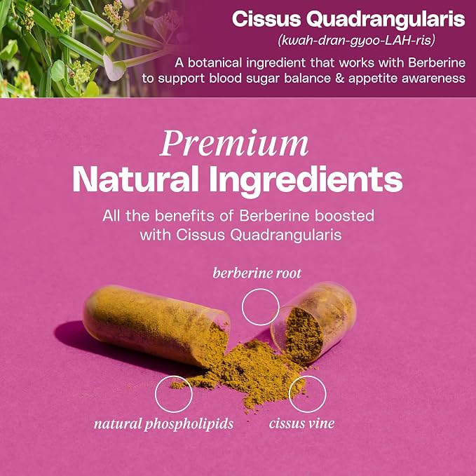 Premium Berberine Supplement Body Composition, 60 Capsules - with Cissus Quadrangularis & Berberine Phytosome - Supports Overall Wellness