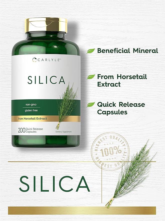 Carlyle Silica Supplement Capsules | 200 Count | from Horsetail Extract | Non-GMO & Gluten Free