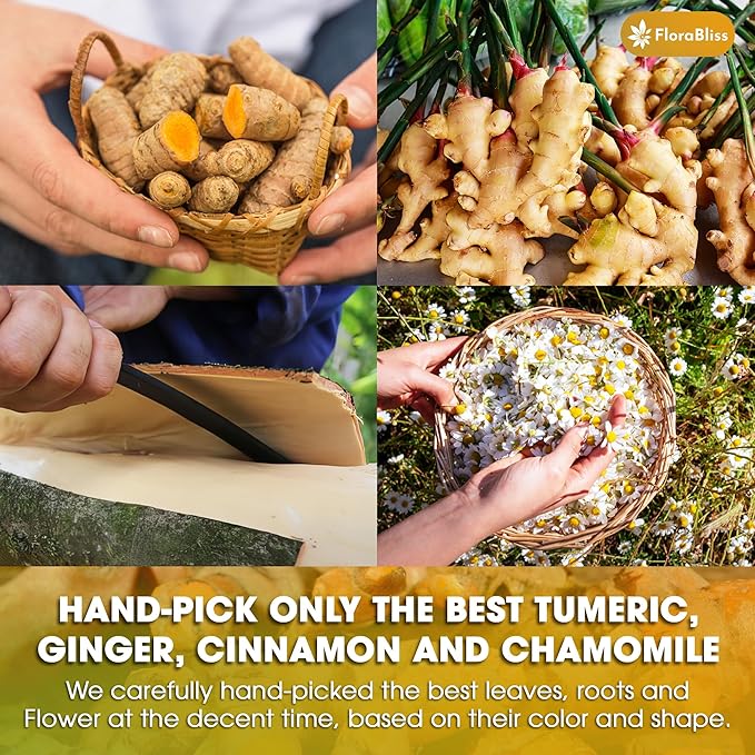 FloraBliss 50 Bags Premium Turmeric, Ginger, and Cinnamon Tea with Chamomile, Extra Strength 2.2g/Bag, 100% Natural, Caffeine-Free, Vegan, Eco-Friendly, Supports Digestion, Relaxation