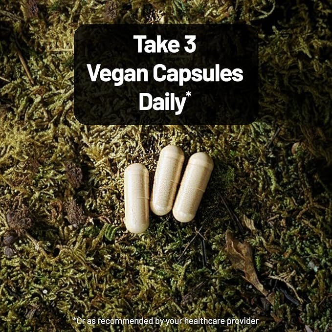 NatureWise Mushroom Complex - with Organic Lion's Mane + Reishi & Cordyceps Sinensis - Lions Mane Supplement with Organic Mushrooms - Vegan - Non-GMO - USA Manufactured - 90 Capsules[30-Day Supply]