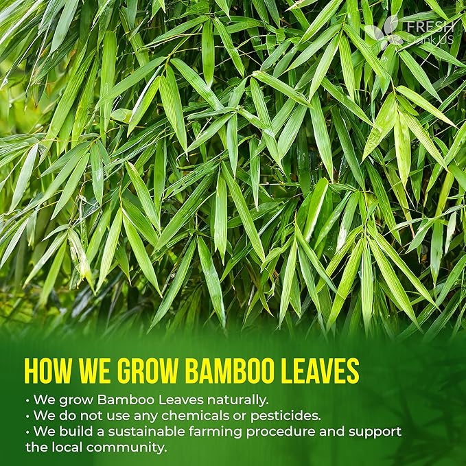 FreshDrinkUS, Premium Bamboo Leaf Tea Bags | 40 Count | Naturally Light & Refreshing Caffeine-Free Herbal Tea – From 100% Natural Bamboo Leaves. Sugar-Free. Vegan
