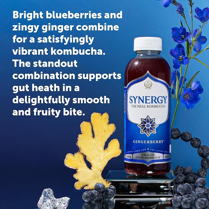 SYNERGY The Real Kombucha - Gingerberry - 16 fl oz Bottle - Raw Probiotic Drink for Gut Health and Immune Support